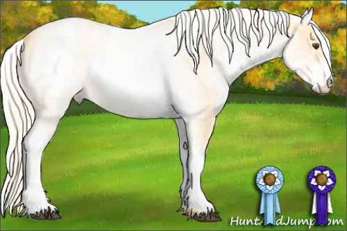 Horse Color: White Spotted Palomino Dun 