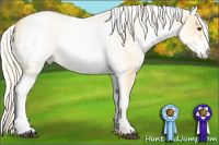 Horse Color:White Spotted Palomino Dun 