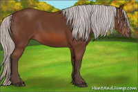 Horse Color:Silver Bay 