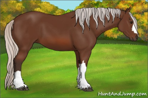 Horse Color: Silver Bay 