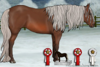 Horse Color:Silver Bay 