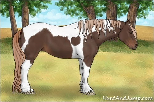 Horse Color: Liver Chestnut Tobiano 