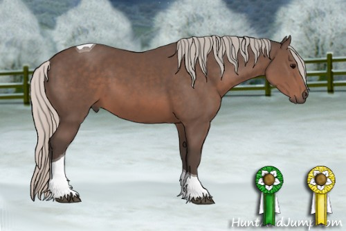 Horse Color: Silver Black Tobiano 