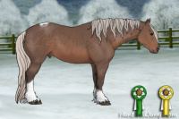 Horse Color:Silver Black Tobiano 