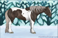 Horse Color:Silver Black Ice Tobiano 
