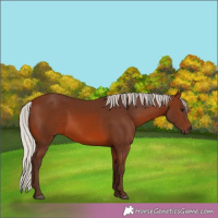 Horse Color:Silver Bay 