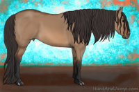Horse Color:Bay Dun