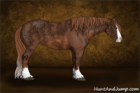 Horse Color:Liver Chestnut Ice Sabino Splash 