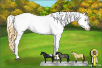 Horse Color:Buckskin Roan Dun Near Leopard 