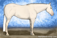 Horse Color:Silver Amber Cream Champagne Dun 
