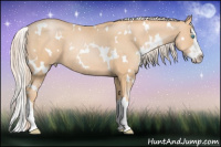 Horse Color:White Spotted Chocolate Palomino Pearl Splash 
