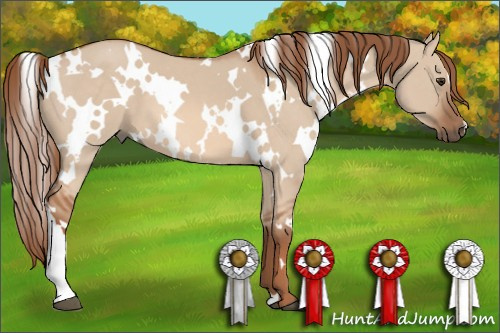 Horse Color: White Spotted Liver Red Dun 