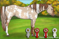 Horse Color:White Spotted Liver Red Dun 