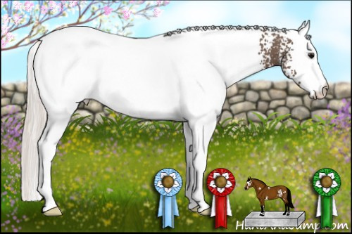 Horse Color: White Spotted Silver Black 