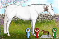Horse Color:White Spotted Silver Black 