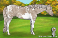 Horse Color:Silver Grullo Ice Tobiano 
