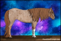 Horse Color:Red Roan 