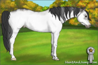 Horse Color:White Spotted Grullo Frame 