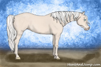 Horse Color:Silver Perlino 