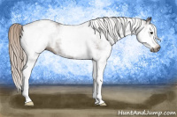 Horse Color:Gray White Spotted Silver Bay Splash 