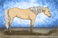 Horse Color:Silver Buckskin Dun 