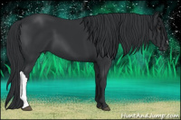 Horse Color:Black 