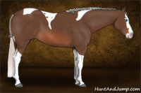 Horse Color:Silver Brown Splash Tobiano 