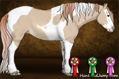 Horse Color: Red Dun Splash Tobiano 