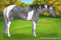 Horse Color:Smoky Black Ice Tobiano