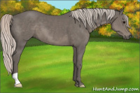 Horse Color:Silver Brown 