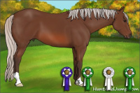 Horse Color:Silver Bay 