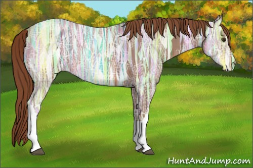 Horse Color: Chestnut Ice 