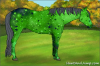 Horse Color:ERROR: UNKNOWN ANOMALY