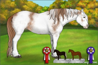 Horse Color:White Spotted Chestnut Splash 