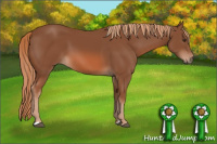 Horse Color:Liver Chestnut 