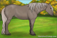 Horse Color:Silver Grullo