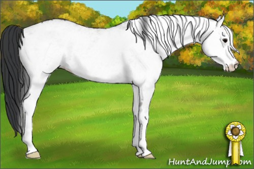 Horse Color: White Spotted Brown Dun 