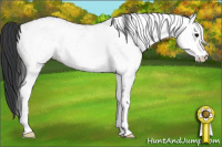 Horse Color:White Spotted Brown Dun