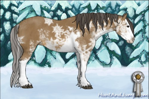 Horse Color: Buckskin Ice Sabino Splash 