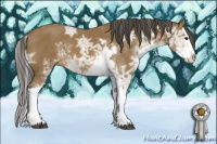 Horse Color:Buckskin Ice Sabino Splash 