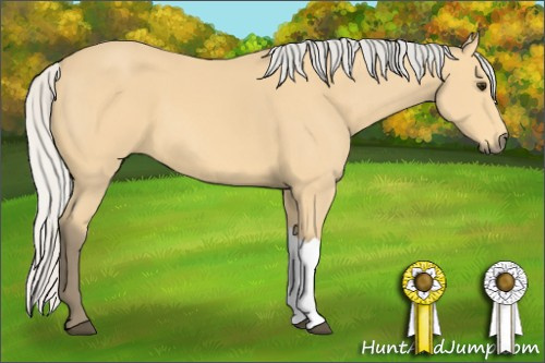 Horse Color: Silver Buckskin 