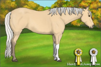 Horse Color:Silver Buckskin 