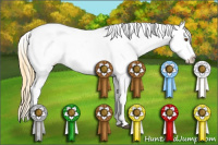 Horse Color:Buckskin Roan Dun Near Leopard 