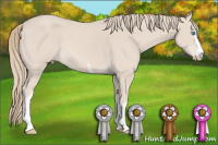 Horse Color:White Spotted Perlino Rabicano