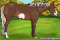 Horse Color:Silver Brown Frame 