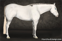Horse Color:Perlino Roan Dun 