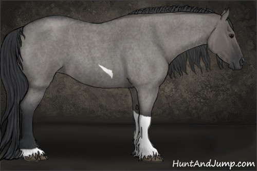 Horse Color: Grullo Roan Tobiano 