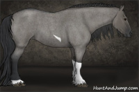 Horse Color:Grullo Roan Tobiano 
