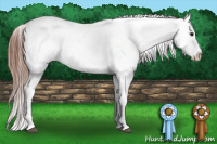 Horse Color:Black Splash Appaloosa 