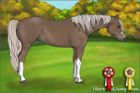 Horse Color:Silver Black 